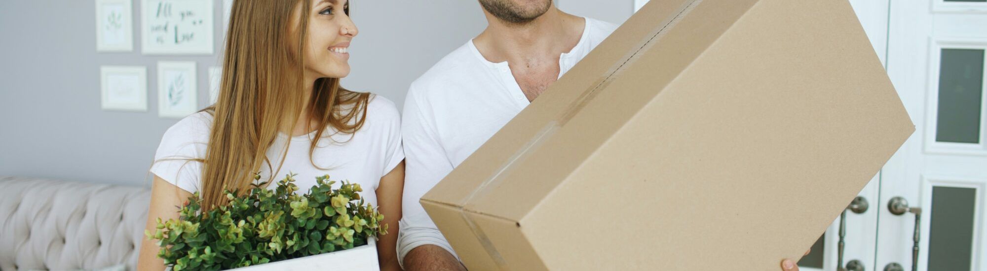 Morbihan accession réalisation