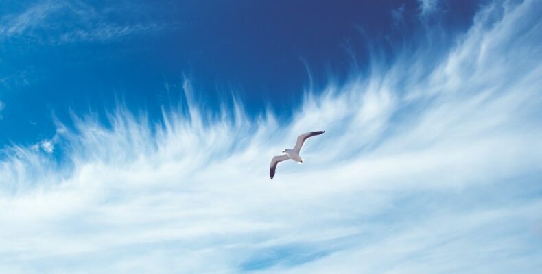 Air-breizh